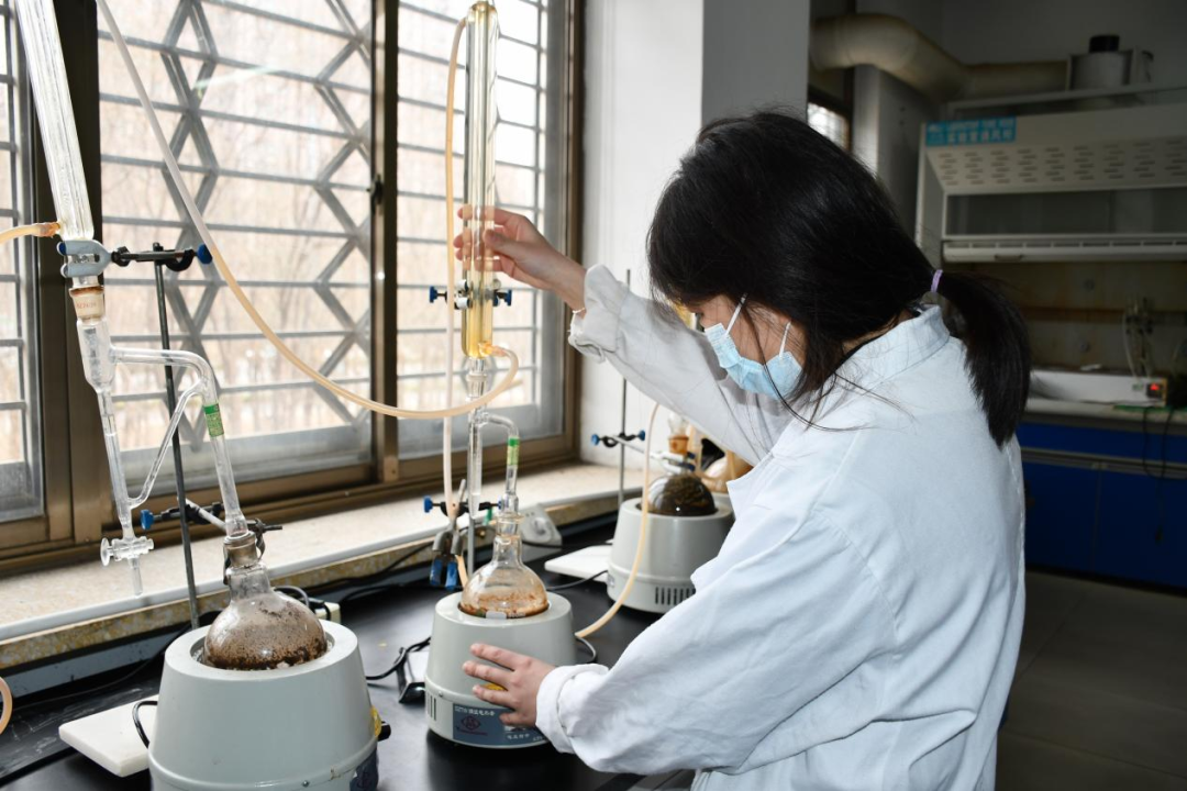 一年之計(jì)在于春，青春奮斗正當(dāng)時(shí)——醫(yī)養(yǎng)健康集團(tuán)