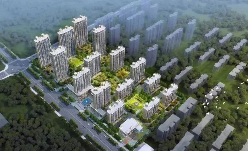 【項(xiàng)目負(fù)責(zé)人說(shuō)】葉書(shū)莊：勇毅前行 精益求精